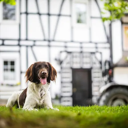 בית נופש Hof Koehne - Haus Im Glueck Rechts