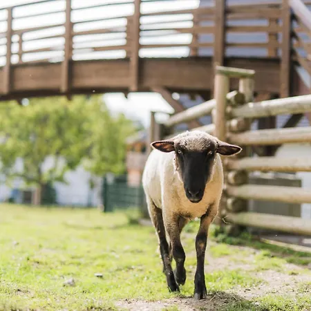 בית נופש Hof Koehne - Haus Im Glueck Rechts שמאלנברג