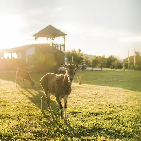 Hof Koehne - Haus Im Glueck Rechts * שמאלנברג