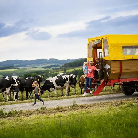 Holiday home Hof Koehne - Haus Im Glueck Rechts Schmallenberg