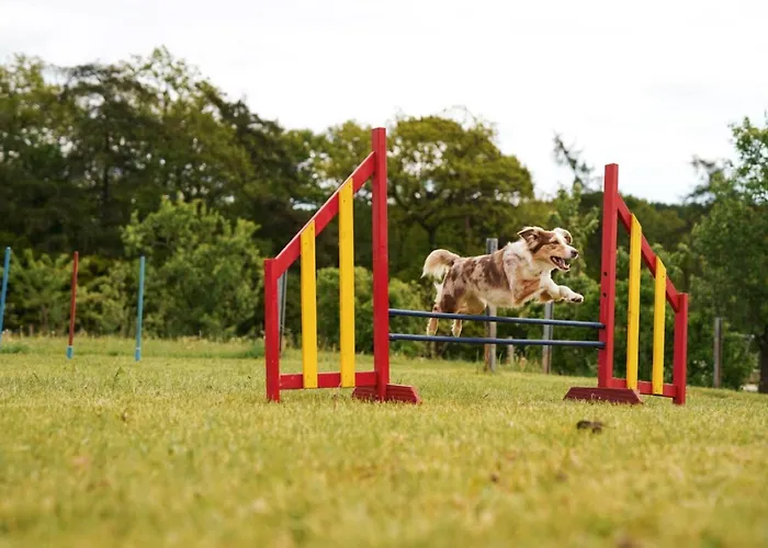 Сasa de vacaciones Hof Köhne - Haus Im Glück Rechts *