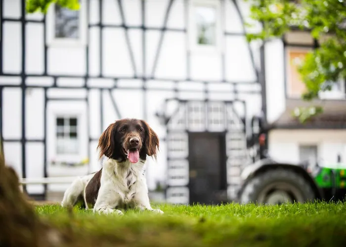 Сasa de vacaciones Hof Köhne - Haus Im Glück Rechts