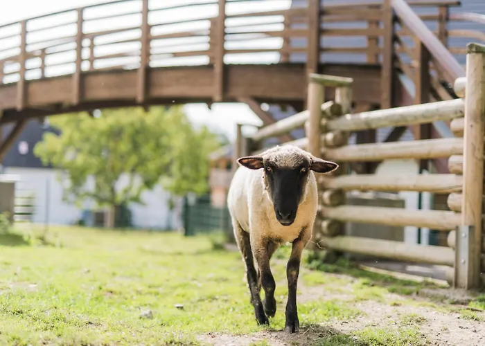 Сasa de vacaciones Hof Köhne - Haus Im Glück Rechts Schmallenberg
