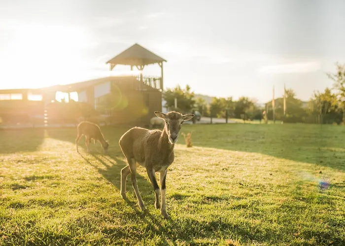 Hof Köhne - Haus Im Glück Rechts * Schmallenberg
